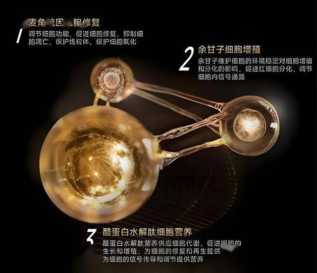 想在2025年掌握富拓外汇交易平台的玩法？这些技巧你绝不能错过！